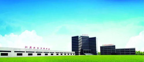 益生菌在家畜腹瀉防治中的作用機(jī)制與應(yīng)用研究——兼論紡織科技服務(wù)在農(nóng)業(yè)領(lǐng)域的跨界啟示