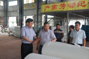 肖立新深入桃江縣環(huán)宇紡織新材料科技走訪調(diào)研，共謀紡織科技研究服務(wù)新篇章